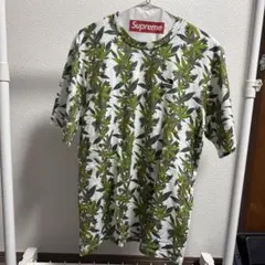 THE NORTH FACE x Supreme Tシャツ S/P