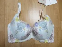 【新品】トリンプ★レッドレーベル 天使のブラ 0102 ブラ 白／E75