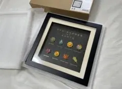 は*け様 ポケセンオンライン限定品 ジムバッジコレクション カントー ポケモン は*け様 ポケセンオンライン限定品 ジムバッジコレクション カントー