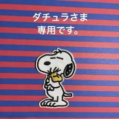 ダチュラ様 リクエスト 15点 まとめ商品
