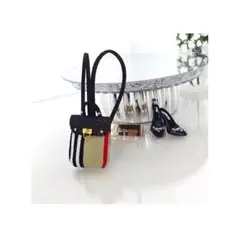 Item thumbnail for item 3e4ce90f-636b-47b0-b0e6-9ef6daaa7481