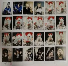 2026年最新】MEJIBRAY チェキの人気アイテム - メルカリ