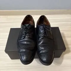 宮城興業 25Cウィズ ウイングチップ