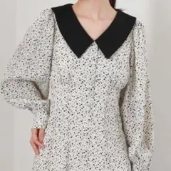 archives ワンピース