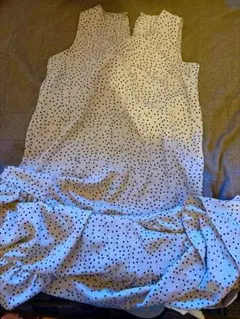 Item thumbnail for item 51a53d00-059c-47d9-a29a-17560a129c65