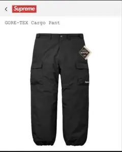 2026年最新】Supreme GORE-TEX Cargo Pantの人気アイテム - メルカリ