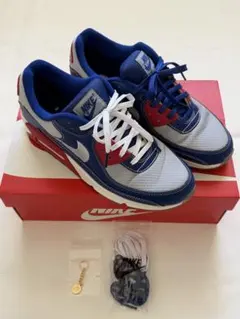 【美品】NIKE エアマックス90 海外限定 パイレーツレディオ 27.5㎝