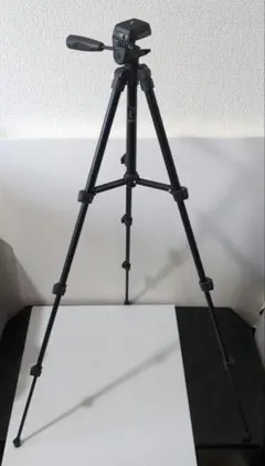 Item thumbnail for item ee7c9941-32e2-470f-9b5a-550a112488ed