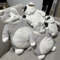 neco眠る With 二階堂和美 - 猫がニャ～て、犬がワンッ! - メルカリ