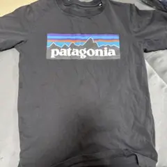 Patagonia パタゴニア Tシャツ M 10 140のサムネイル