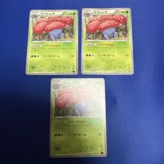 2026年最新】ラフレシア イライラの人気アイテム - メルカリ