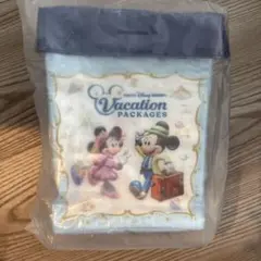 【未使用】ディズニー　バケーションパッケージポップコーンケース　バケパ