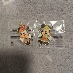 ディズニー ジャングルカーニバル アブーズバザール チャーム ミッキー ミニー
