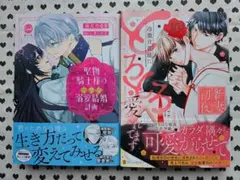 TLコミック✕2冊セット