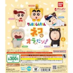 クレヨンしんちゃん ネコなオラたちだゾ！ガチャガチャ　ボーちゃん