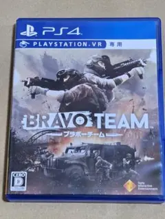 PS4 Bravo Team