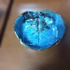 Item thumbnail for item 80fb5d16-61f1-4473-b590-17e459828327