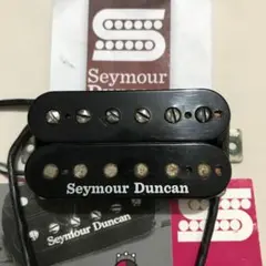 2026年最新】セイモアダンカンの人気アイテム - メルカリ