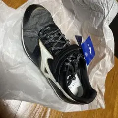 2026年最新】フィールドジオljの人気アイテム - メルカリ