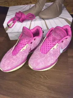 ☆激レア NIKE ナイキ バスケットボールシューズ バッシュ レブロン