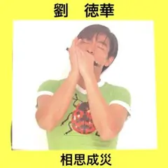 アンディラウ　劉徳華 Andy Lau CD 相思成災