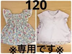 【専用】エニィファム　花柄 ブラウスとバックシャンTシャツ　120