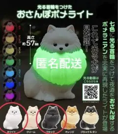 Item thumbnail for item f7175edc-8c6b-4616-8d44-f5da1ff82e9a