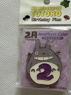 トトロbirthdayビンズ２月 アメジストカラー
