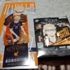 一番くじ ハイキュー‼ 最強の挑戦者　月島蛍　ラバーチャーム&チケットケース