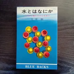 水とはなにか 上平恒 BLUE BACKS