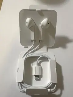 未使用 iPhone付属品 純正イヤホン ライトニングケーブル