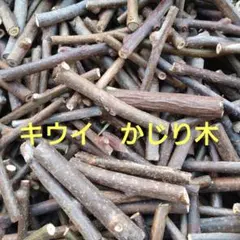 キウイ　かじり木　20本　太さは色々　無農薬