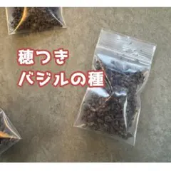 뾰족한 바질 씨앗 한 봉지