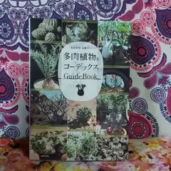 Item thumbnail for item c0de8bd5-0090-41c6-9b8f-ff3f2a29c482