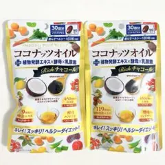☆２袋セット☆ ココナッツオイル 発酵植物エキス 酵母 乳酸菌 リッチチャコールのサムネイル