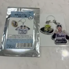 東京ヤクルトスワローズ 神宮グルメチャーム スイーツ編 赤羽由紘選手