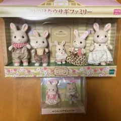 シルバニアファミリー シルバニアビレッジののはなウサギファミリーその他