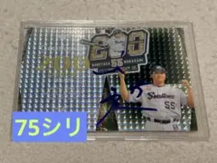 4枚限定！！鈴木誠也 マット・ショウ RC 直筆サインカード - メルカリ
