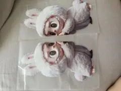 専用