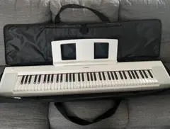 【最終お値下げ】新品YAMAHA piaggero NP-35 ケース付きのサムネイル