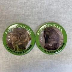 けいん・うぉすぎ様 リクエスト 2点 まとめ商品