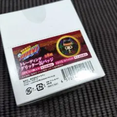 家庭教師ヒットマンREBORN!トレーディンググリッター缶バッジBOX