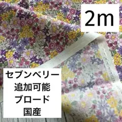 Item thumbnail for item 7421dde0-a528-444f-b3a8-955e9b9baa04