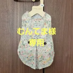 Item thumbnail for item 424a99f0-e1ee-49fd-a54d-94b0deadb085