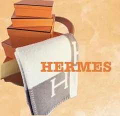 【新品・未使用品】HERMES エルメス　プレード（ノワゼット）