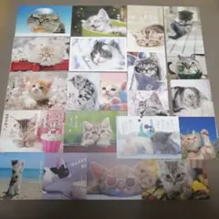 はるちー様 リクエスト 2点 まとめ商品