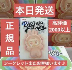 【正規品・未開封】Labubu Big into Energy 1箱