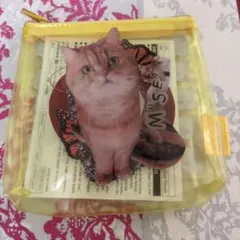 PAUL＆JOE 　クリアポーチ