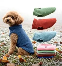 Item thumbnail for item 8e5306bf-af24-48a6-ac23-9e803f0a098d