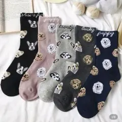 大型犬　小型犬　パピー　完売品　SHEIN シーイン　靴下　3足セットまとめ売り
